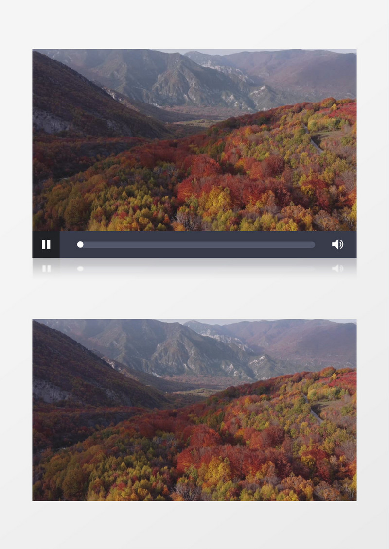 实拍秋季树叶逐渐变红的植被实拍视频素材