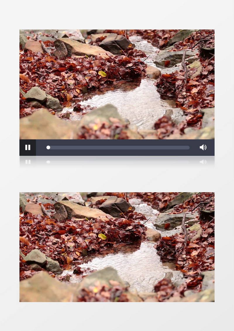 实拍潺潺流水旁边堆积的落叶实拍视频素材