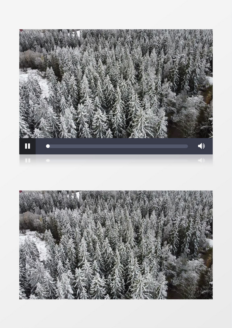 被雪花覆盖的森林雪原实拍视频素材