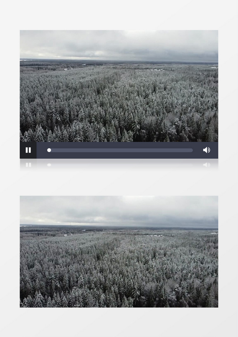 在冬季被雪花覆盖的森林雪原实拍视频素材