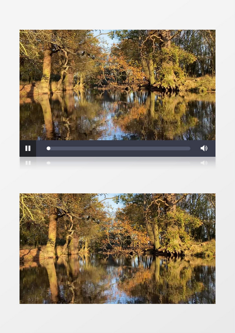 丛林深处平静的湖水和岸边的树木实拍视频素材实拍视频素材