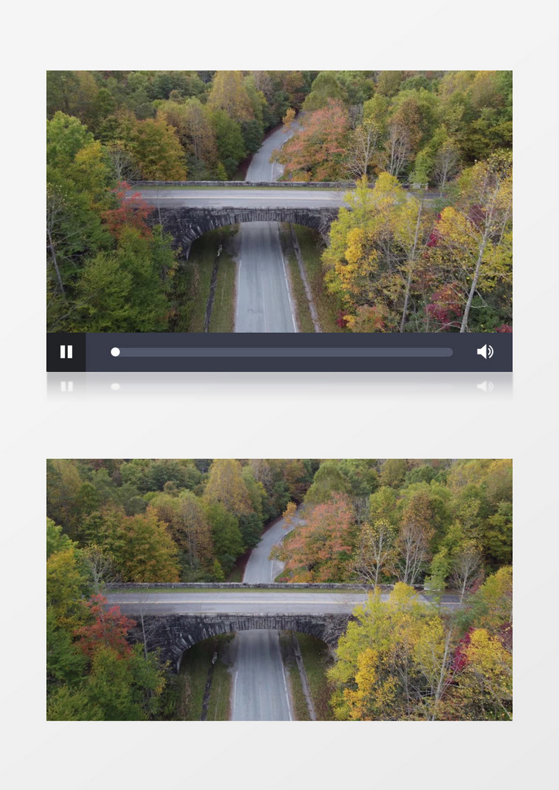 实拍深林中的道路和高架桥实拍视频素材