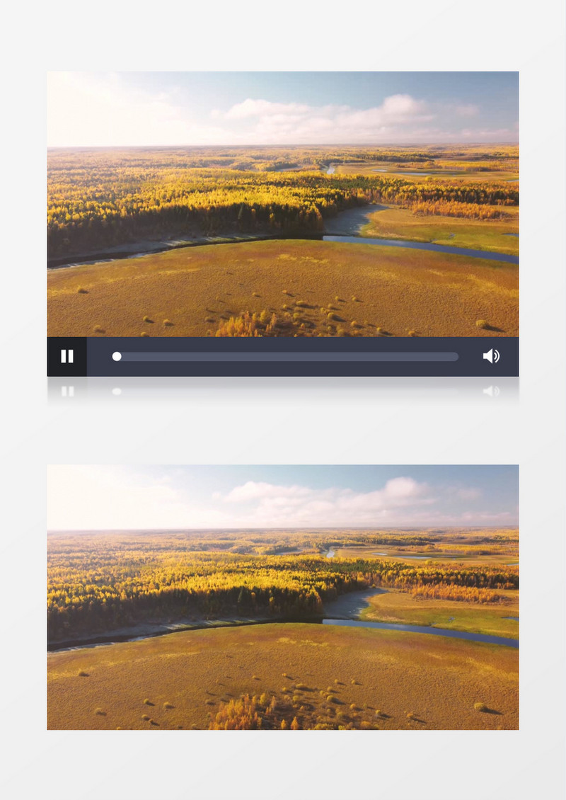 秋季大地变黄的植被景象实拍视频素材