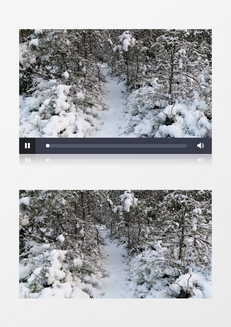 大雪覆盖的树林实拍视频素材