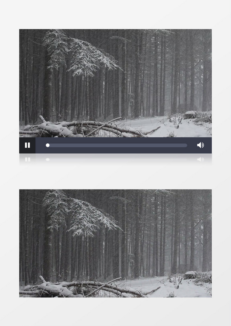 下雪天森林慢慢被雪花覆盖实拍视频素材