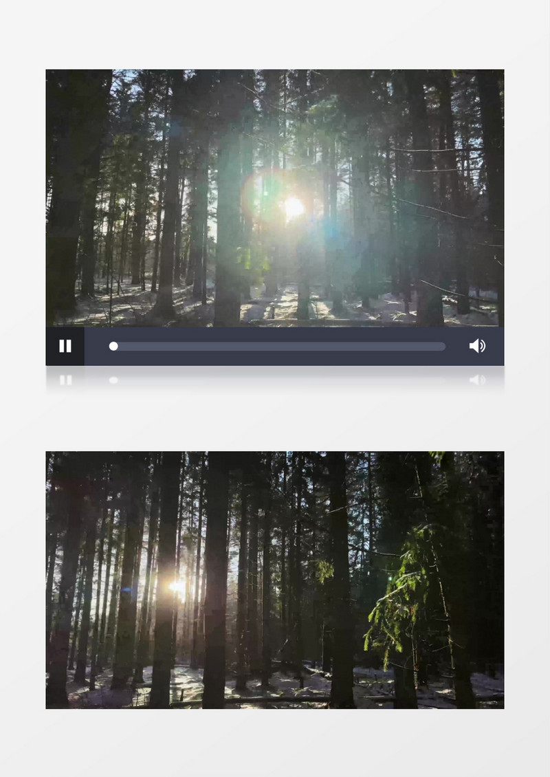 冬季的阳光在丛林中折射出彩虹的光芒实拍视频素材