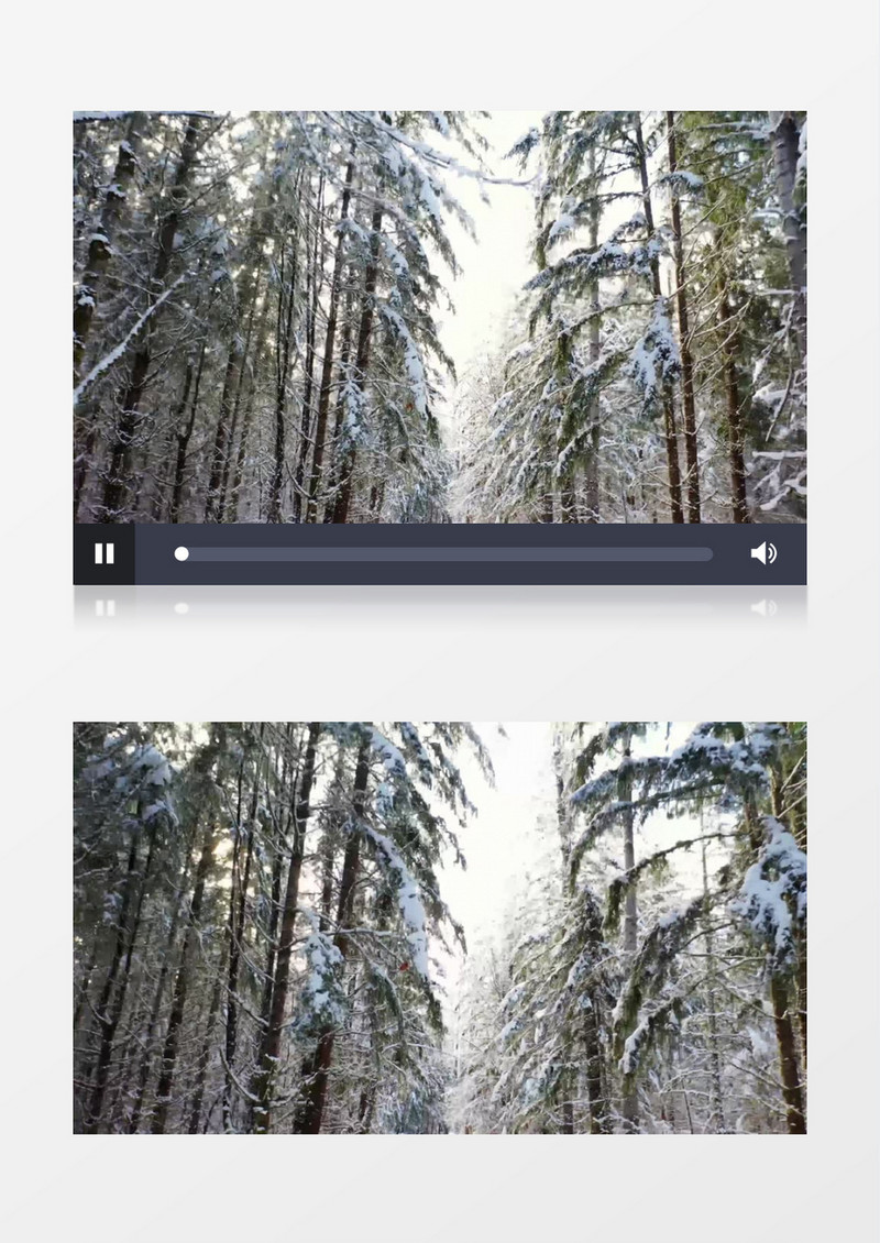 大雪覆盖丛林的树木实拍视频素材
