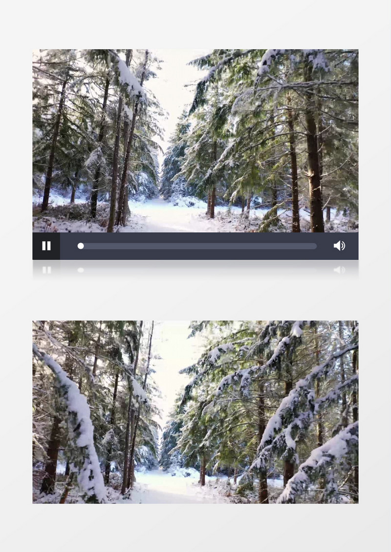 大雪覆盖茂密的丛林实拍视频素材