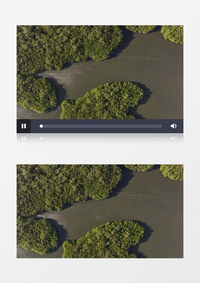 在树林中缓缓流淌的河水实拍视频素材