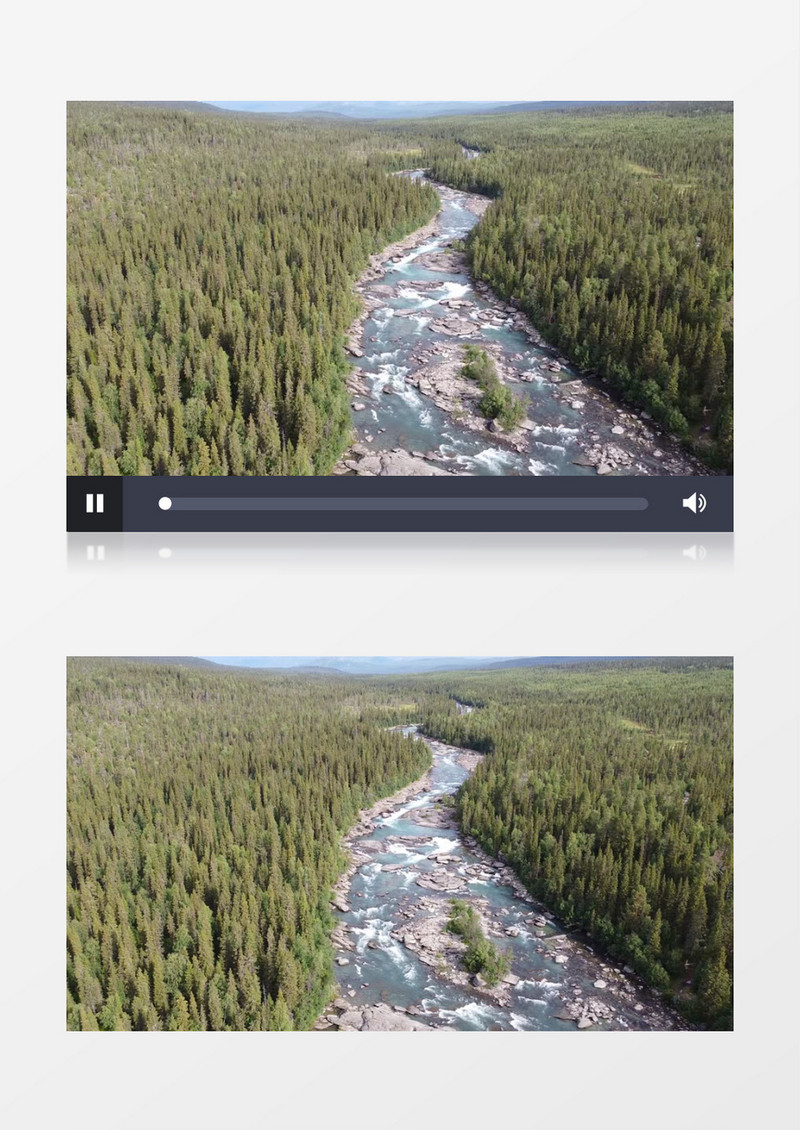 森林中蜿蜒流淌的河水实拍视频素材