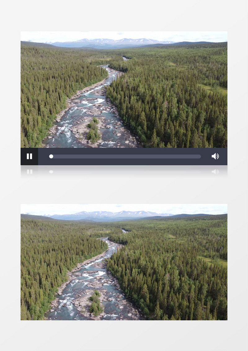实拍森林中缓缓流动的河水实拍视频素材