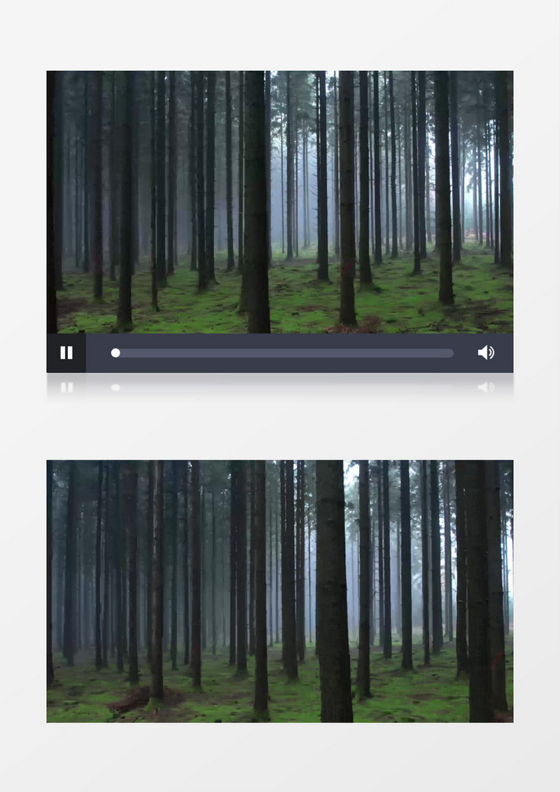 航拍森林里高耸的树干实拍视频素材