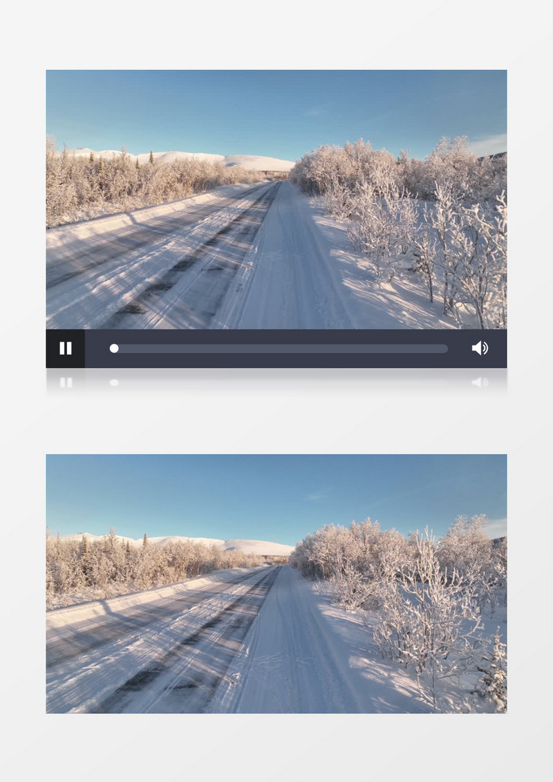 冬季被雪覆盖的森林景观实拍视频素材
