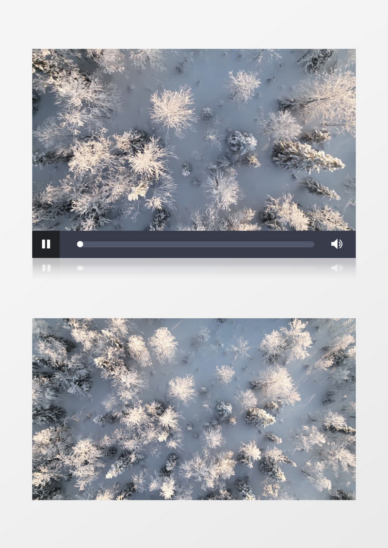 航拍被冰雪覆盖的森林景象实拍视频素材