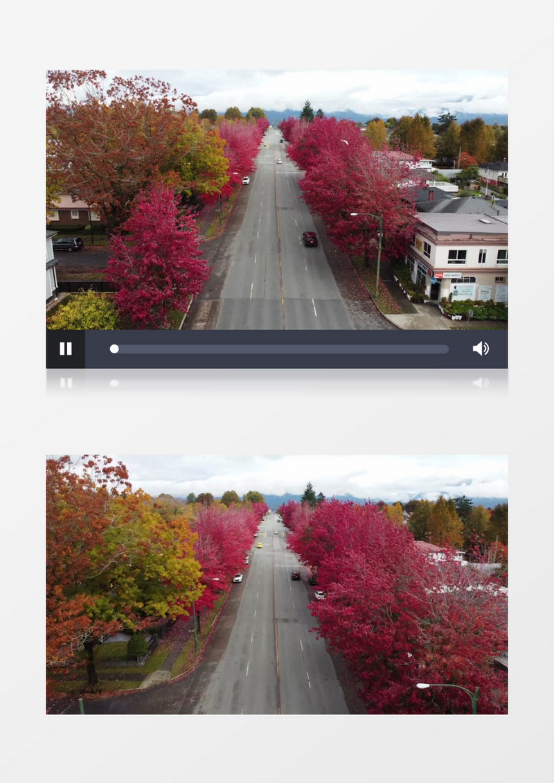 道路两旁似火的红色树叶实拍视频素材