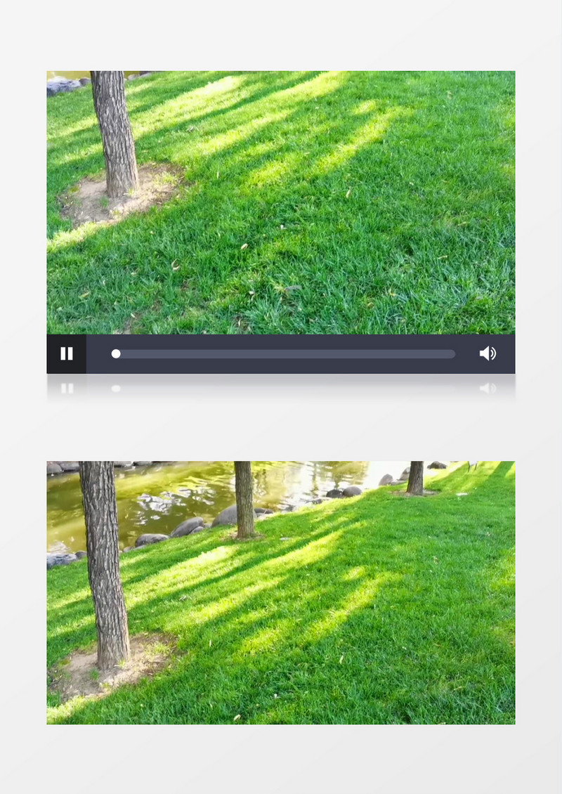 公园里嫩绿的草地和小河实拍视频素材