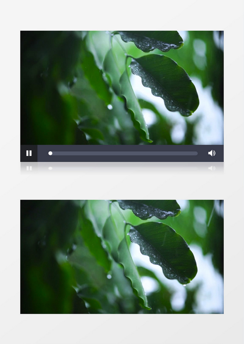 密集的雨滴打在绿叶上实拍视频素材