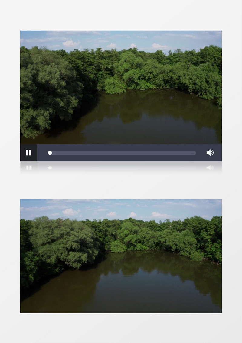 湖边的树木景象实拍视频素材