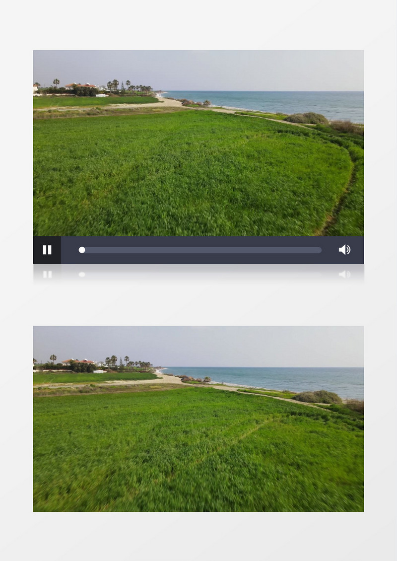 实拍海边的植被景象实拍视频素材