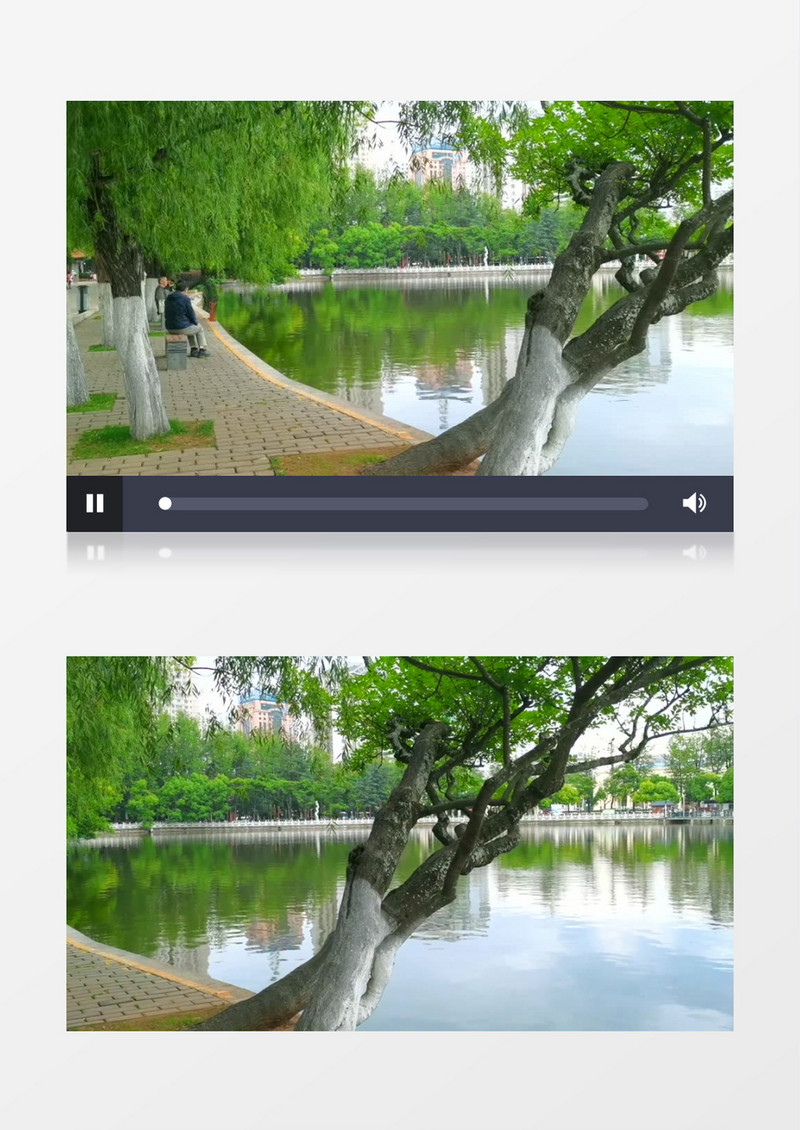 实拍公园里的湖泊景色实拍视频素材