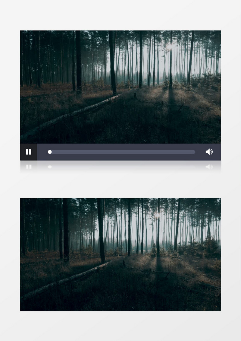 实拍初秋的森林清晨干枯的草地实拍视频素材