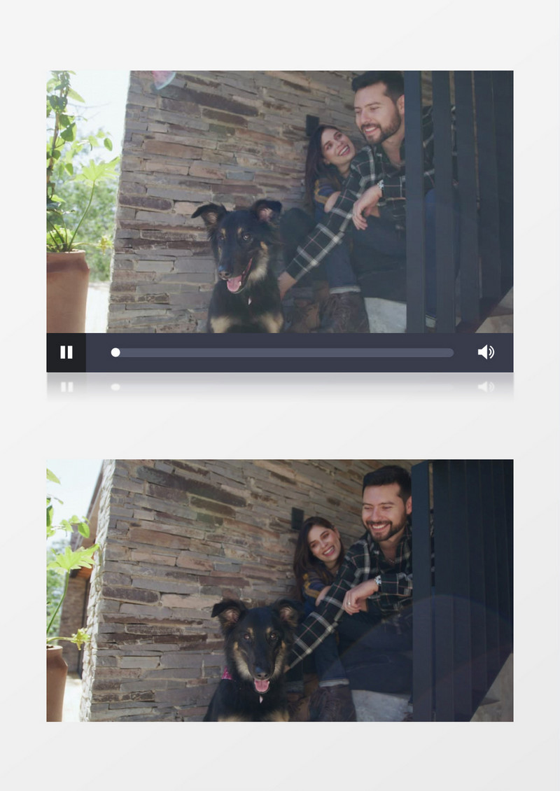 情侣坐在台阶上抚摸狗的毛发实拍视频素材
