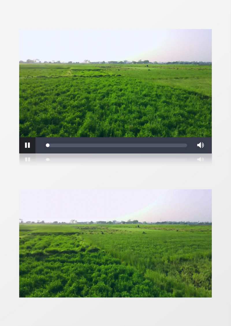 航拍郊区草场一片嫩绿的景色实拍视频素材