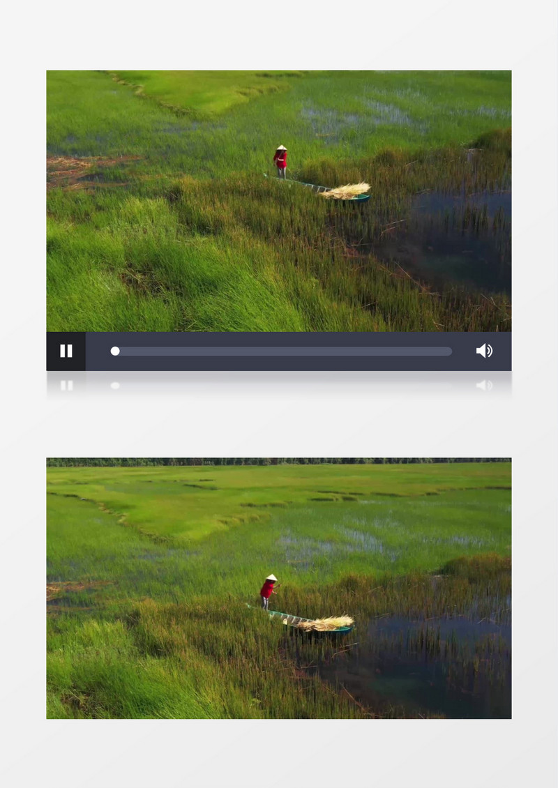 女人在密集的芦苇湖上划船实拍视频素材