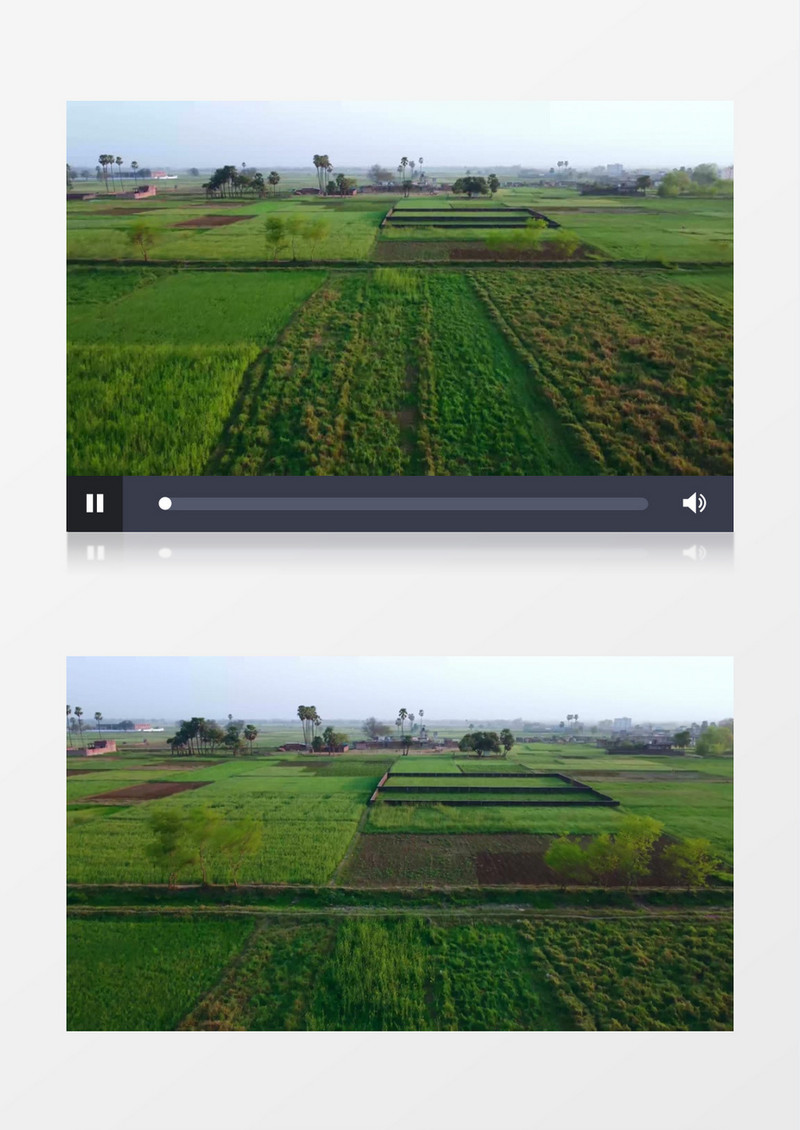 小镇外面种植的农作物实拍视频素材
