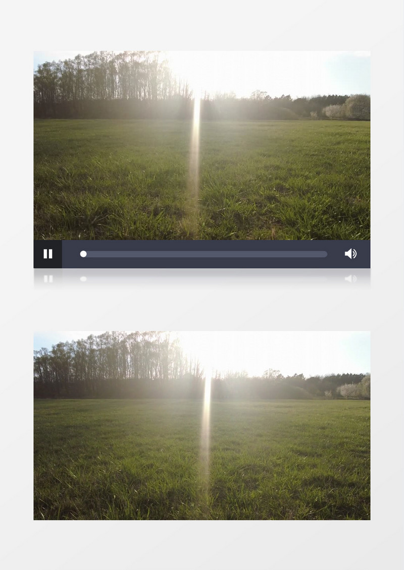 小狗奔跑在阳光照射下的草地上实拍视频素材