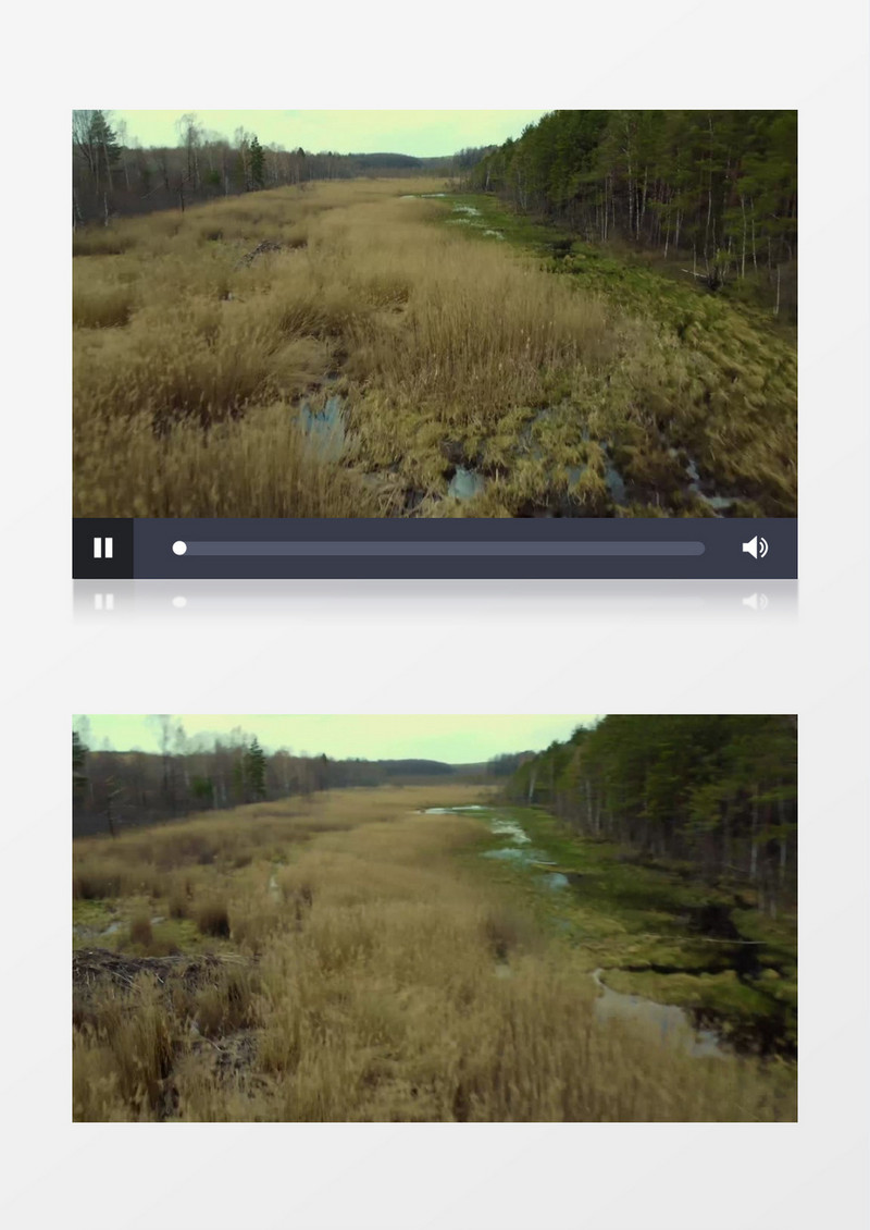 丛林旁边的沼泽地实拍视频素材