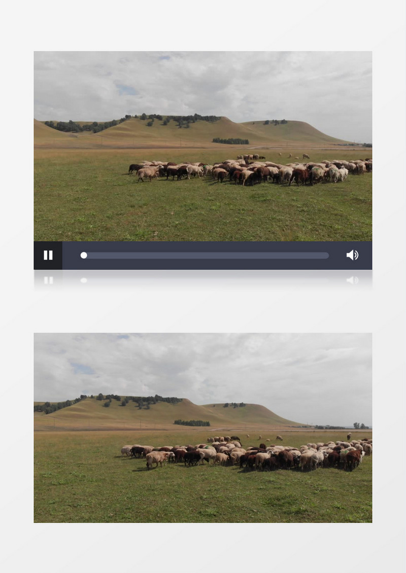 羊群在郊外的草地上奔跑实拍视频素材