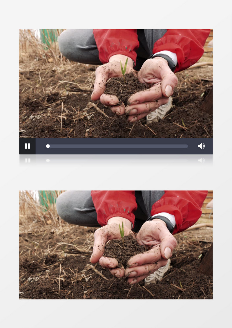 女孩用手捧起带有植物的泥土实拍视频素材