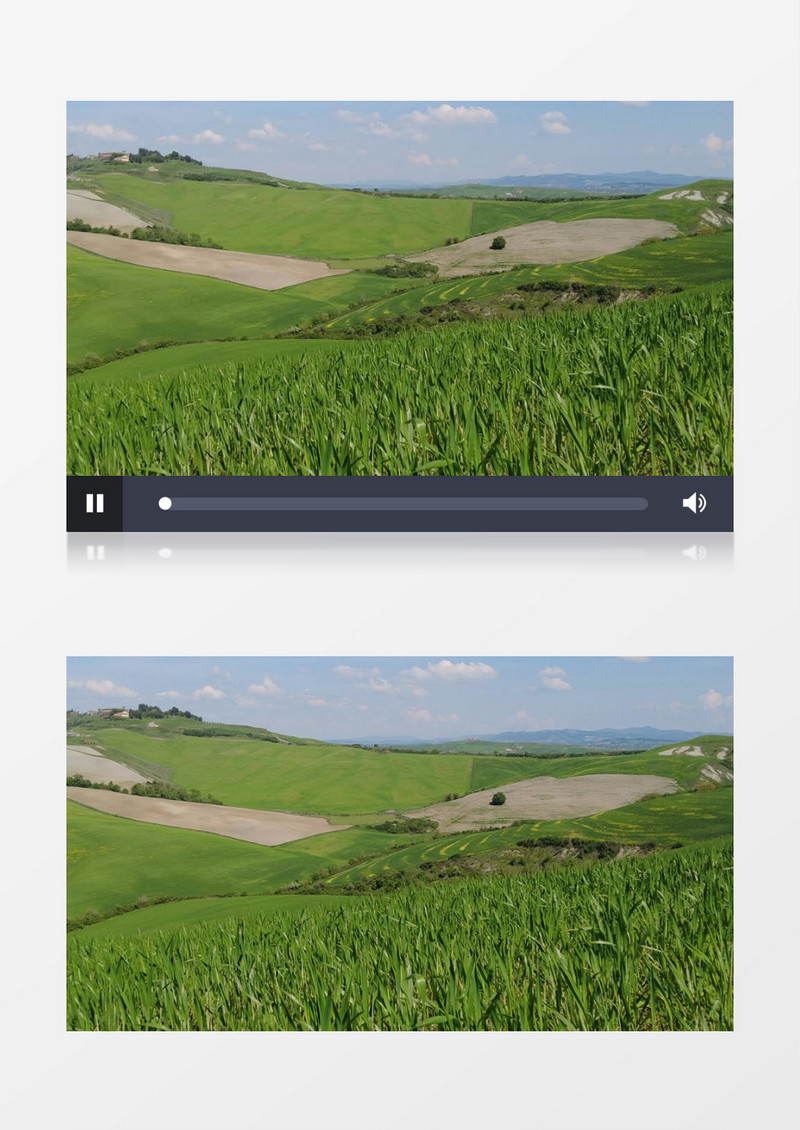 航拍山上种植的农作物实拍视频素材