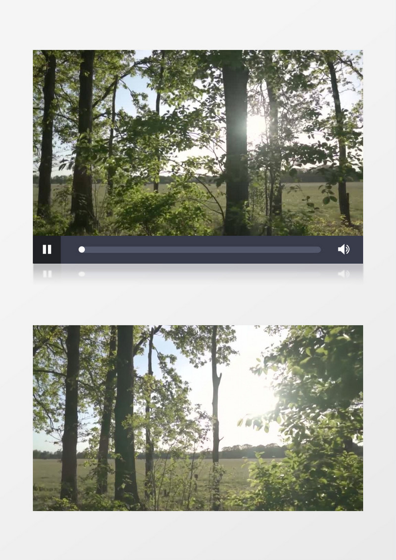 实拍阳光透过树丛飘洒的景色实拍视频素材