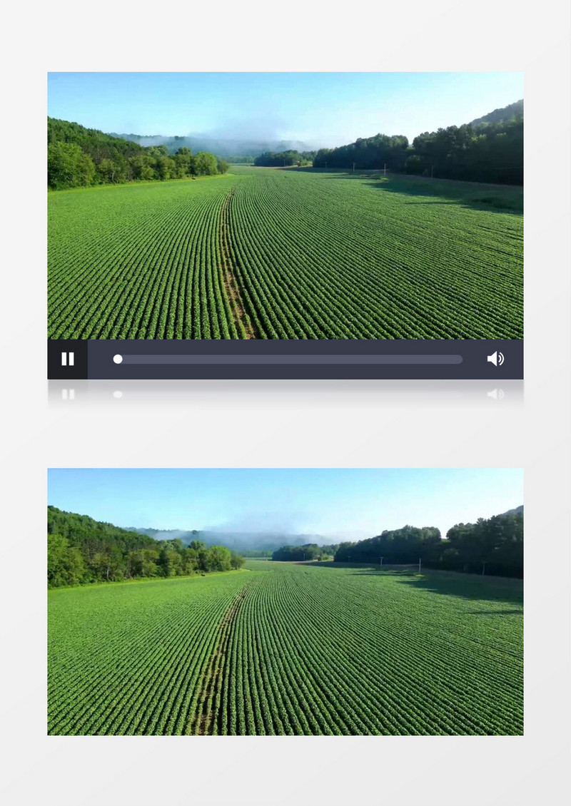 航拍翠绿的农田实拍视频素材
