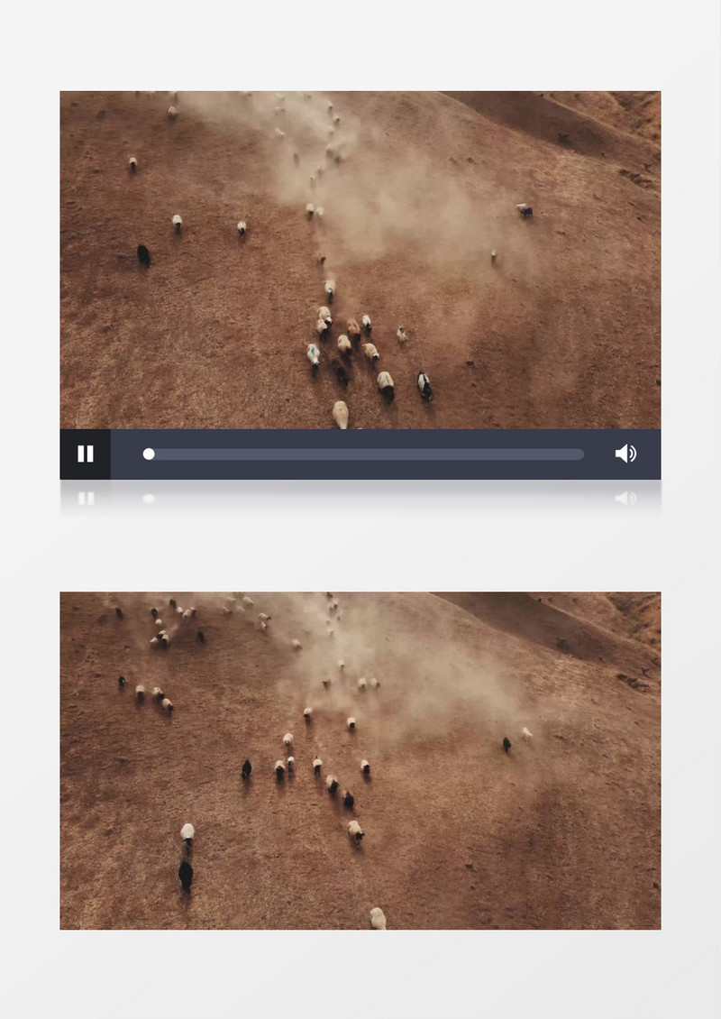 一群羊在地面上奔跑实拍视频素材