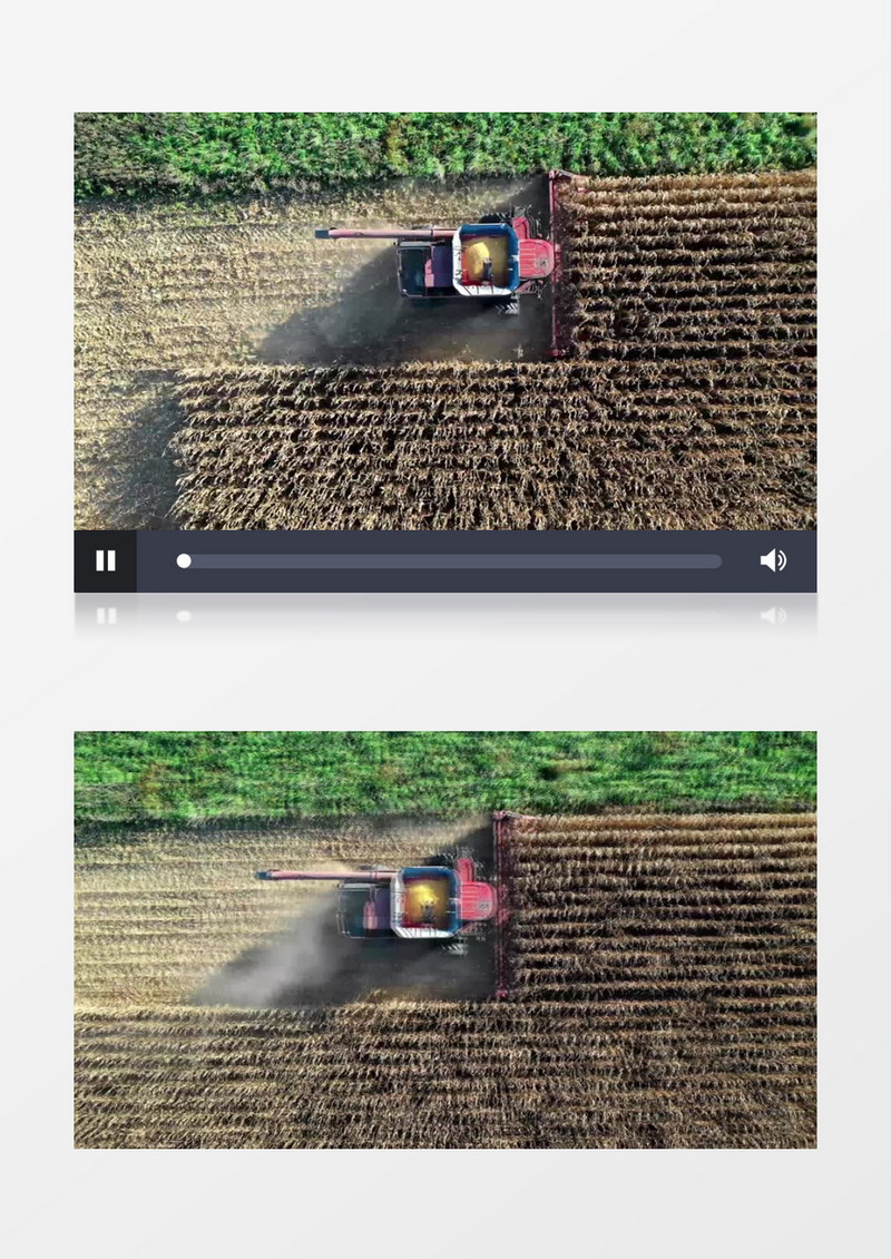 收割机在收割玉米实拍视频素材