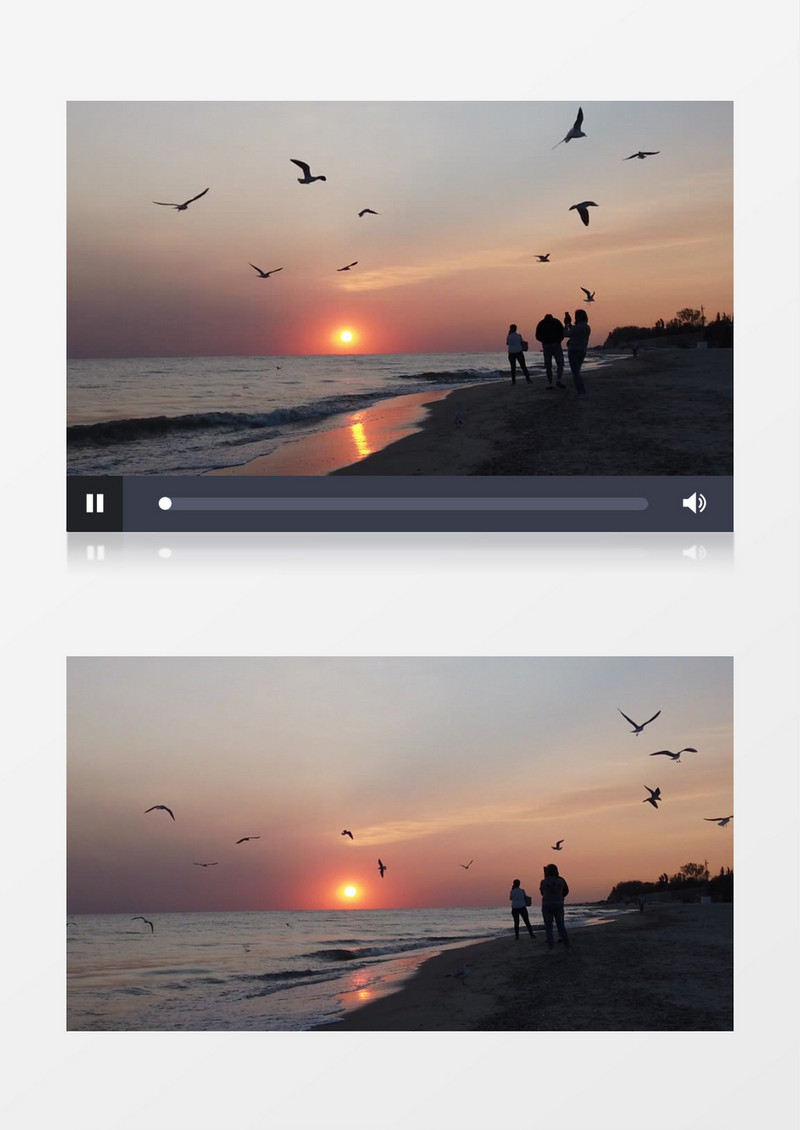 夕阳下一群海鸥在海边飞舞实拍视频素材