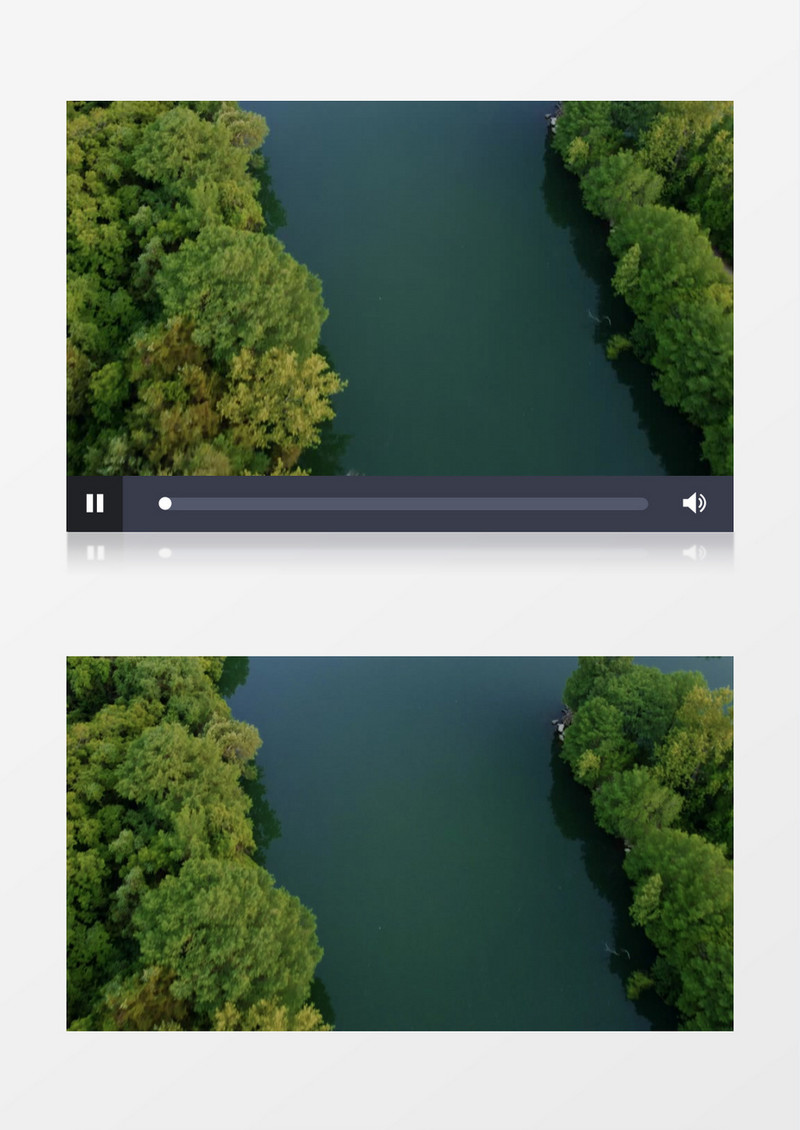 平静的湖面和岸边的植被实拍视频素材