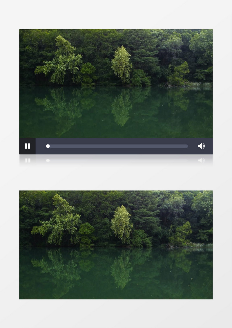平静的湖水和岸边茂盛的植被实拍视频素材