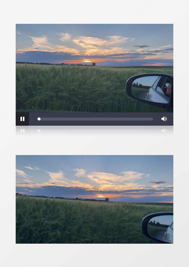 夕阳下的麦田实拍视频素材