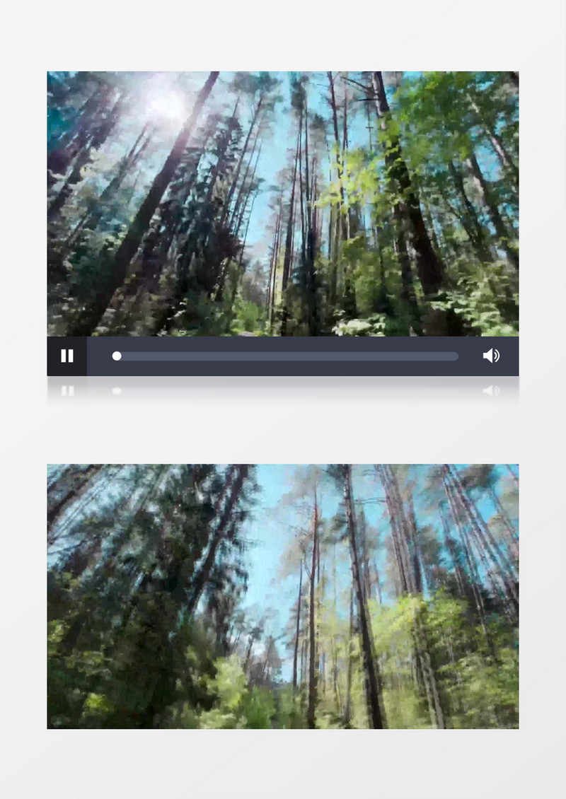 镜头穿梭在高耸入云的丛林中实拍视频素材