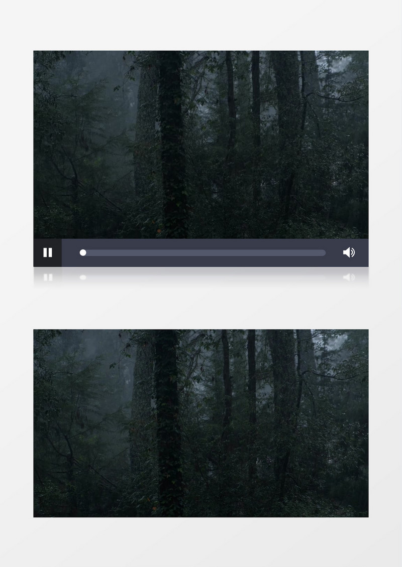 雨中幽深的丛林实拍视频素材