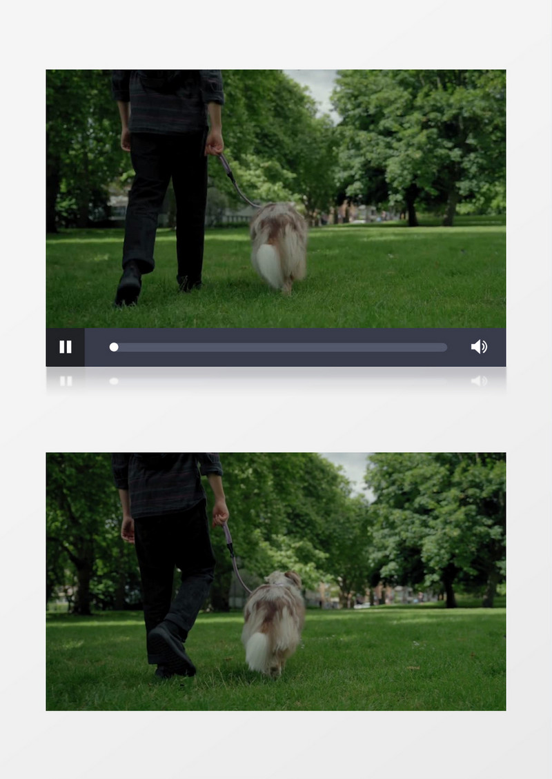 男人牵着狗在草地上行走实拍视频素材