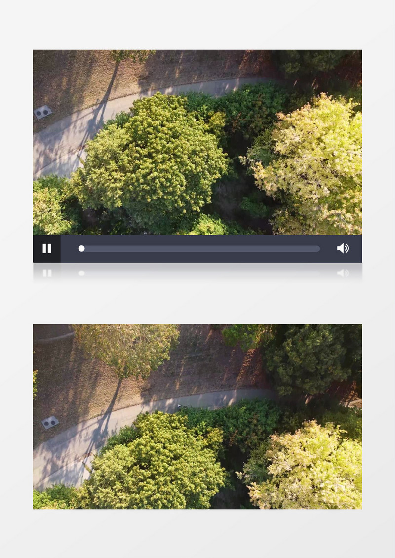 航拍郊外公园里的道路和树木实拍视频素材