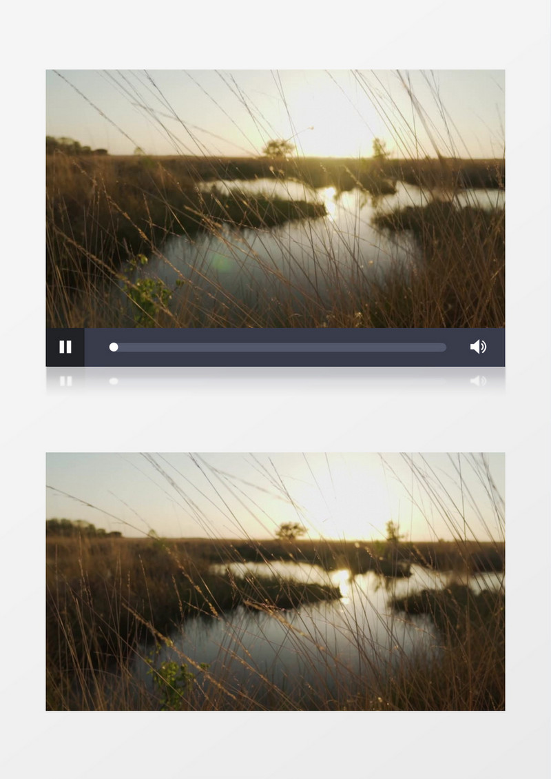 阳光扫在芦苇中的湖面上实拍视频素材