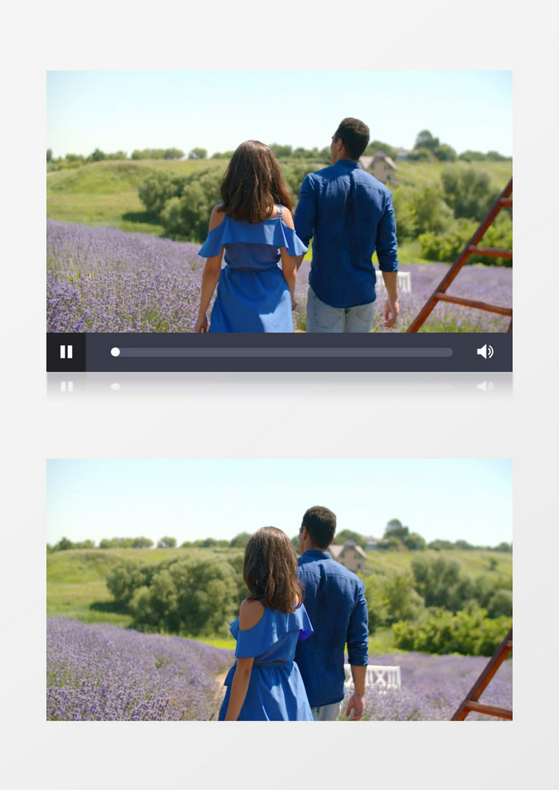 一对情侣牵手走在薰衣草花圃里实拍视频素材