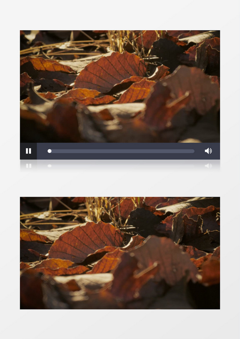 枯黄的树叶堆在地面上实拍视频素材