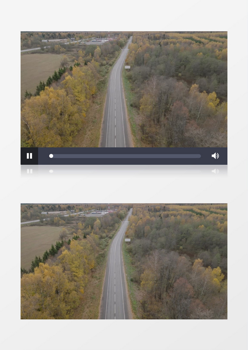 秋季道路两旁的树木开始变黄实拍视频素材